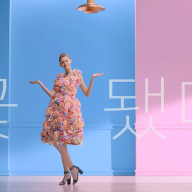 cf이미지